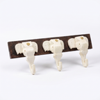 Wooden Elephant Keychain Holder | Brown Base | 7x18x3 Inch | White Elephants